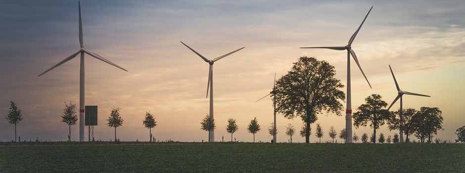 Diskussion um geplanten Wormser Windpark an der B47