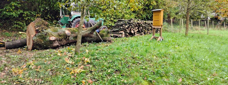 Eichenholzverkauf in Leisel