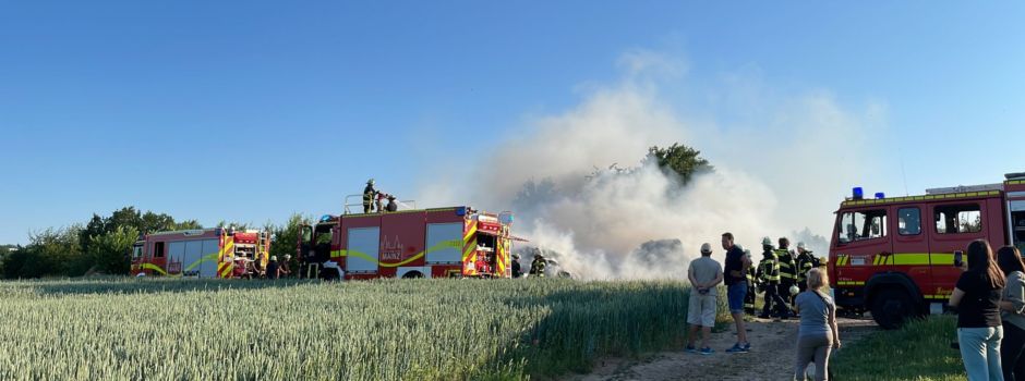 Erneut Brand in Mainz