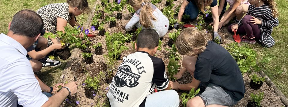 Grundschule Siersburg gehört zu den Gewinnern des Projekts „Wilde Ecken“