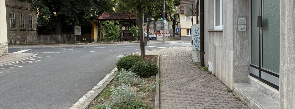 Patenschaften für unsere Grünanlagen gesucht