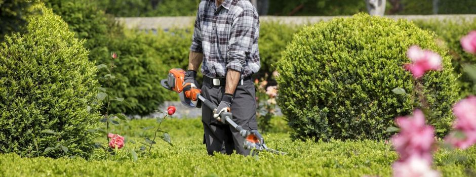 Baum- und Strauchrückschnitt noch bis Ende Februar möglich