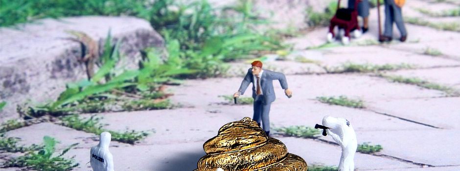 Hundehinterlassenschaften