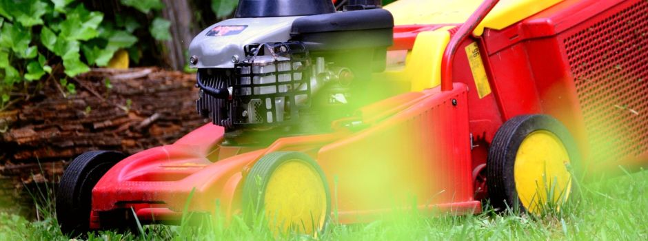 Frühjahrsputz - Mithelfende gesucht