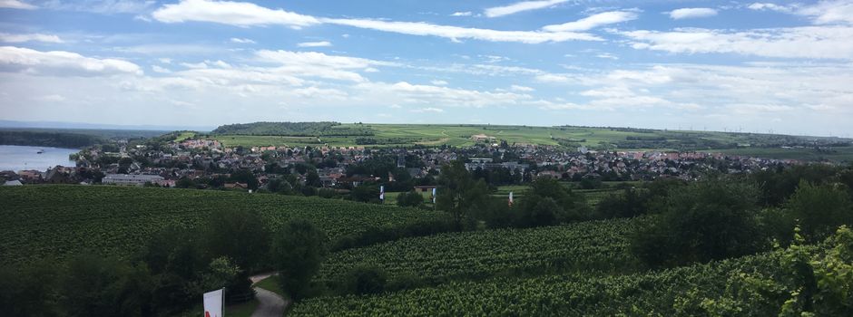 Frühlingserwachen bei den Winzern vom Roten Hang am 18. März in Nierstein