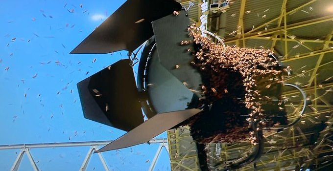 Mainz 05 gegen BVB: Bienenschwarm besetzt Stadion-Scheinwerfer