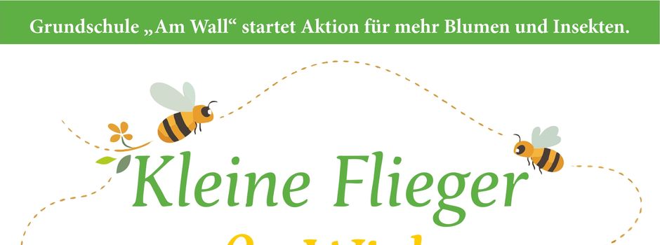 Schüler bringen Friedland zum Blühen