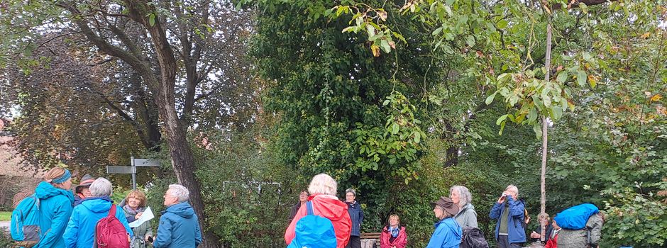 Pilgerwanderung im Klosterdreieck: Begegnungen zwischen Zarrentin und Ratzeburg