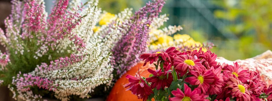 Herbstfest auf dem Wochenmarkt Schwarzenbek