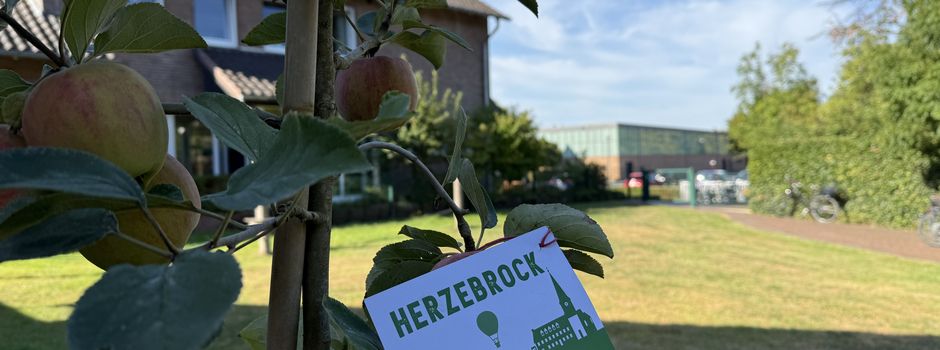 Baumpflanzchallenge: Herzeblog spendet für die Kinder der Kita St. Christina einen Apfelbaum