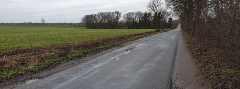 Bäume weichen neuem Radweg