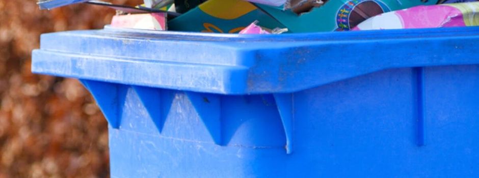 Für ein sauberes und schönes Römerberg!