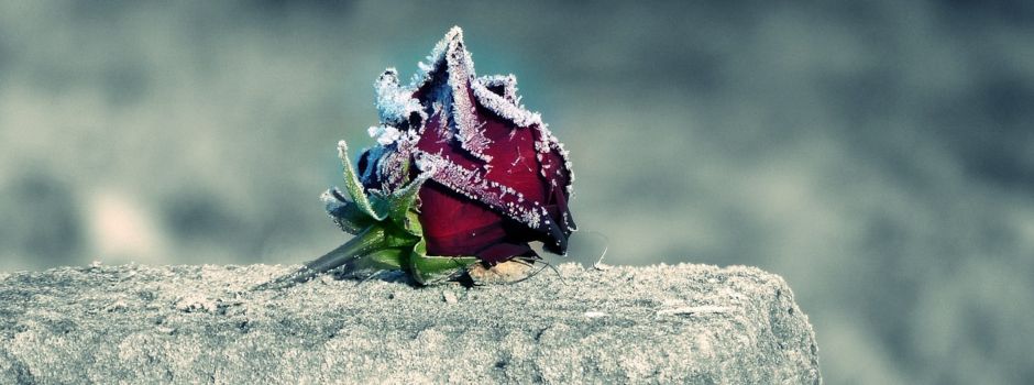 Gestaltung der Friedhöfe in der Samtgemeinde