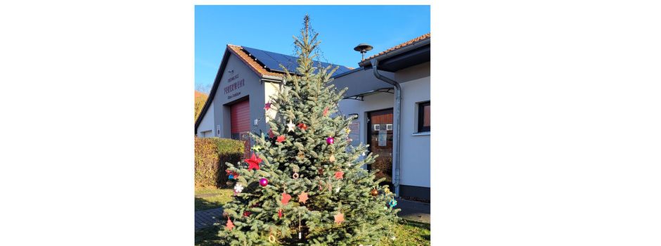 Weihnachtsbäume erstrahlen zur Advents- und Weihnachtszeit wieder in Klein Trebbow und Barner Stück
