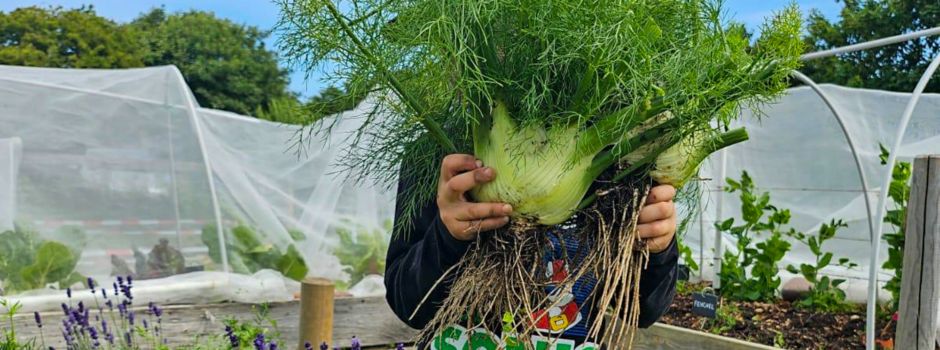 Neues aus dem Buurenstair