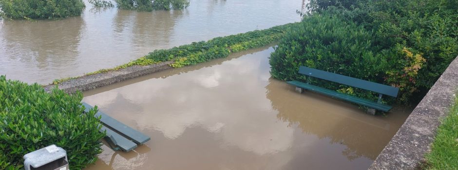Bildergalerie: Hochwasser in Mainz