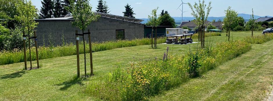 Wildblumenwiese lädt zum Verweilen ein