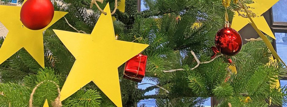 Niedernhausener Weihnachtsbäume 2024: Teil 2