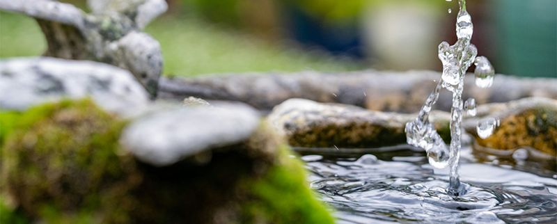 Gemeinsam den Sommer feiern: Wintersheim lädt zum Brunch am Brunnen