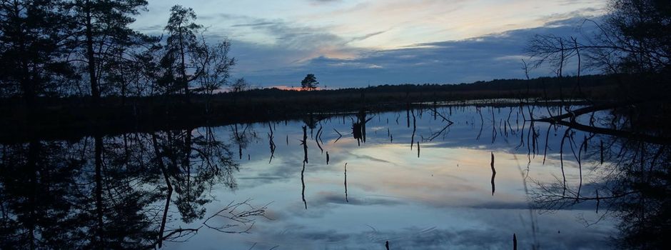 Drei Millionen Euro Fördergeld für wichtige Naturschutzprojekte