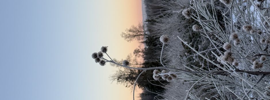 Plötzliche Eisglätte