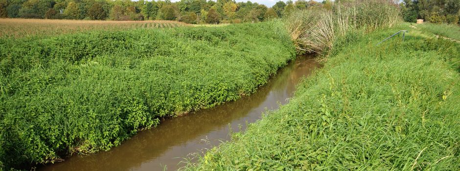 Worms baut Radweg am Eisbach aus