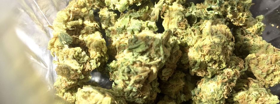 Medizin sieht Cannabis-Freigabe kritisch