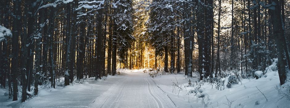 5 Dinge die ihr zwischen Weihnachten und Neujahr machen könnt