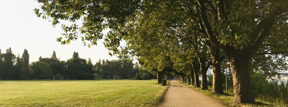 Streit in Mainz-Kastel eskaliert: Mann zückt langes Küchenmesser