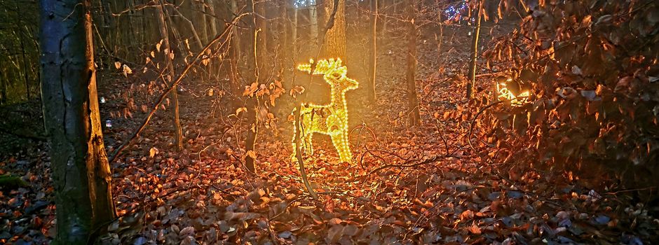 Kinder-Weihnachtszauber begeisterte Groß und Klein