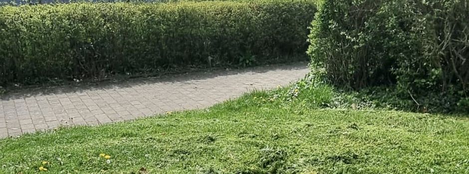Mitteilung der Bürgermeisterin