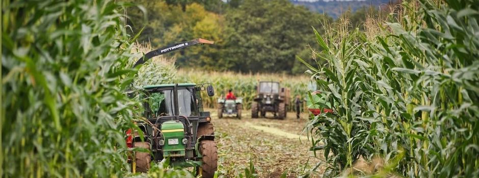 Historisches Maishäckseln 2025