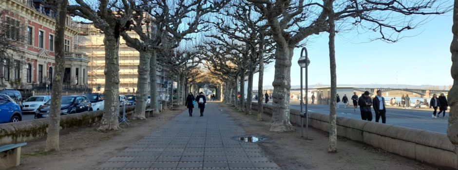 Hollywood-Regisseur stellte den Mainzer Rosenmontagsumzug nach