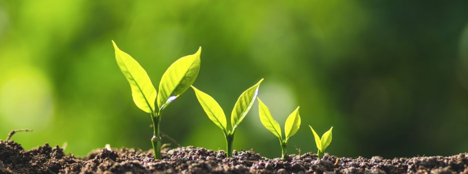 Stadt Niederkassel veröffentlicht Klimaschutzbericht 2023