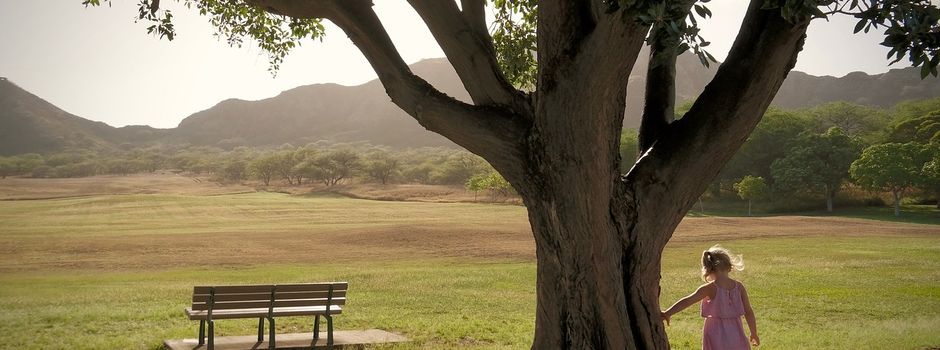 Baumpate gesucht, UPDATE!