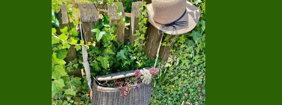 Kräuterwanderung mit allen Sinnen – eine NATUR verFÜHRUNG