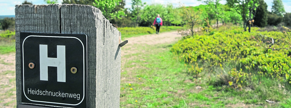 Platz 1 für den Heidschnuckenweg