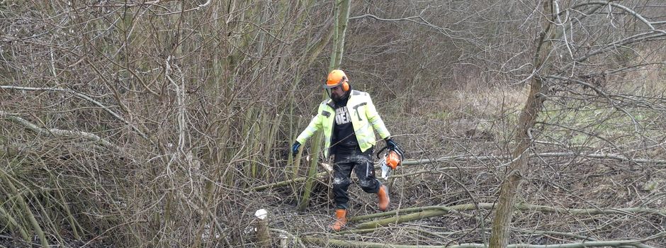 Freischnitt Undenheimer Regenrückhaltebecken