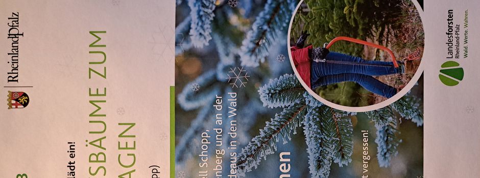 Weihnachtsbäume zum Selbstschlagen am 16.12.2023    10:00 - 14:00 Uhr Waldabteilung Schafdelle Schopp