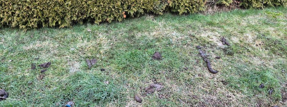 Würste schmelzen nicht