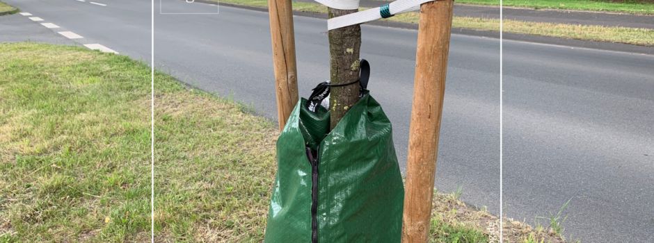 Bewässerungssäcke für Bäume der Gemeinde
