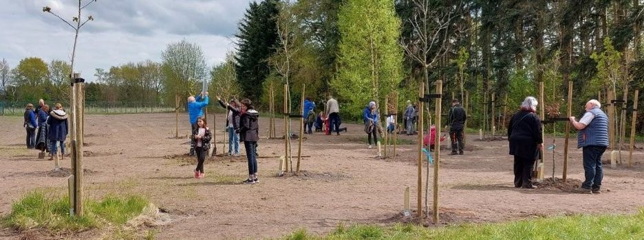 Bäume pflanzen im Hochzeitswald 
