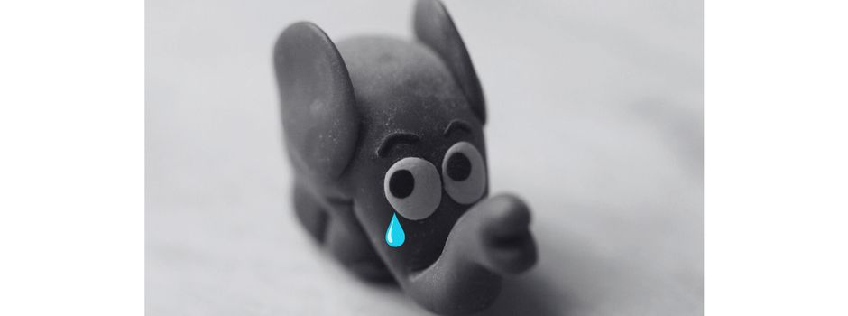 Nach KiKa-Aus: Koblenzer Musiker geht mit Petitions-Aufruf viral