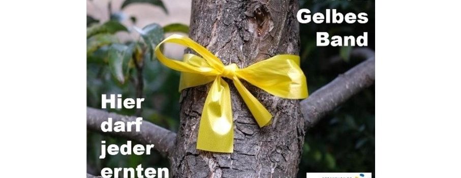 Aktion "Gelbes Band" | Obst für Ihren Eigengebrauch pflücken