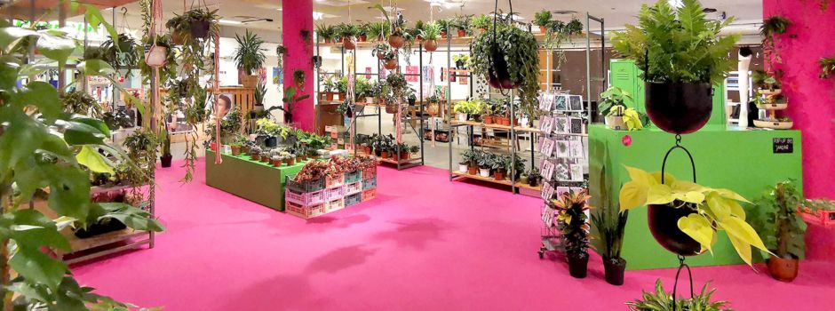 Neues Pflanzengeschäft im Mainzer „Lulu Conceptstore“