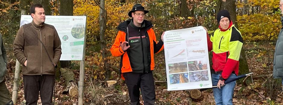 Große Resonanz beim Waldbegang am Feiertag