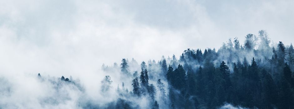 2 mal 5 Winterhighlights, die jeder von uns kennt und liebt