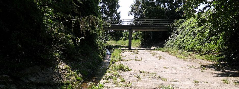 Für mehrere Millionen: Salzbach in Wiesbaden wird renaturiert