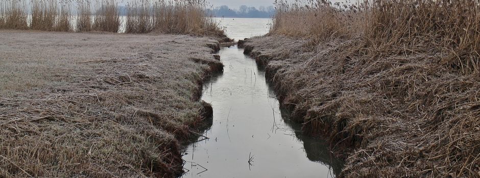 Wasser-Törn: Entdeckungstour rund ums Wasser 