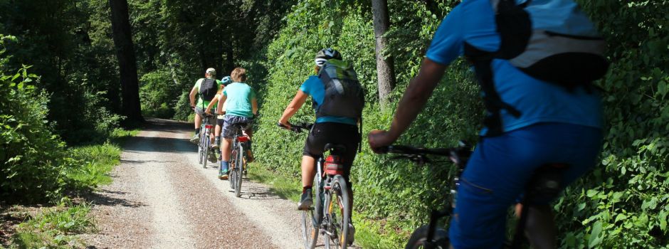 Verbandsgemeinde Rhein-Selz beteiligt sich beim Projekt „Stadtradeln“ im Landkreis Mainz-Bingen